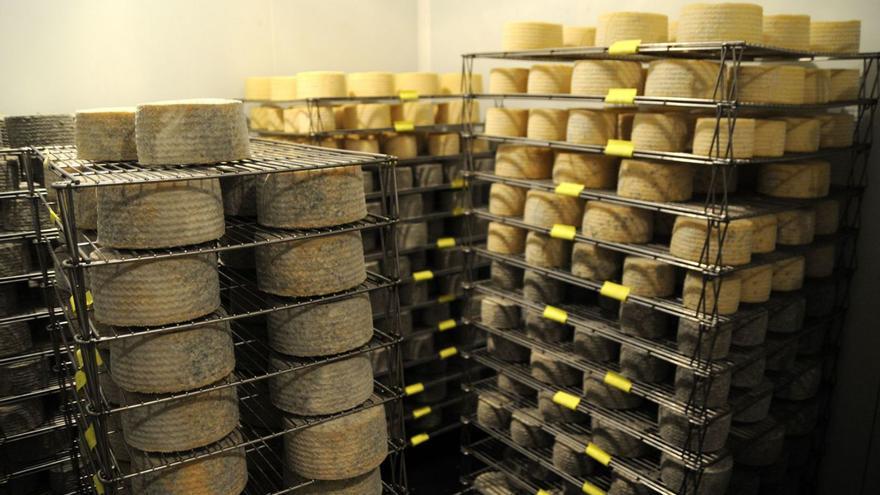 El Seprona investiga a una quesería de Zamora por vender como suyos unos quesos comprados