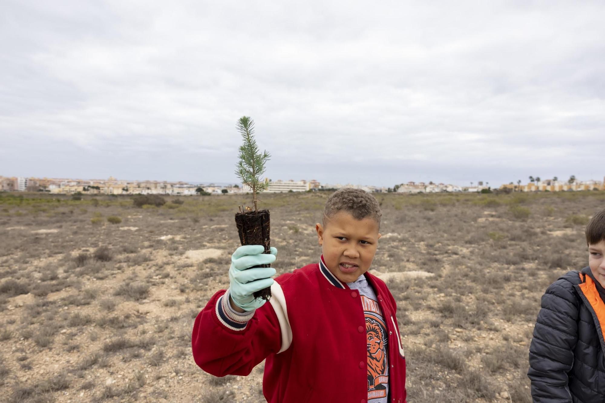 800 escolares se implican en la celebración del Día del Árbol con la plantación de especies autóctonas en torno a la laguna de La Mata de Torrevieja