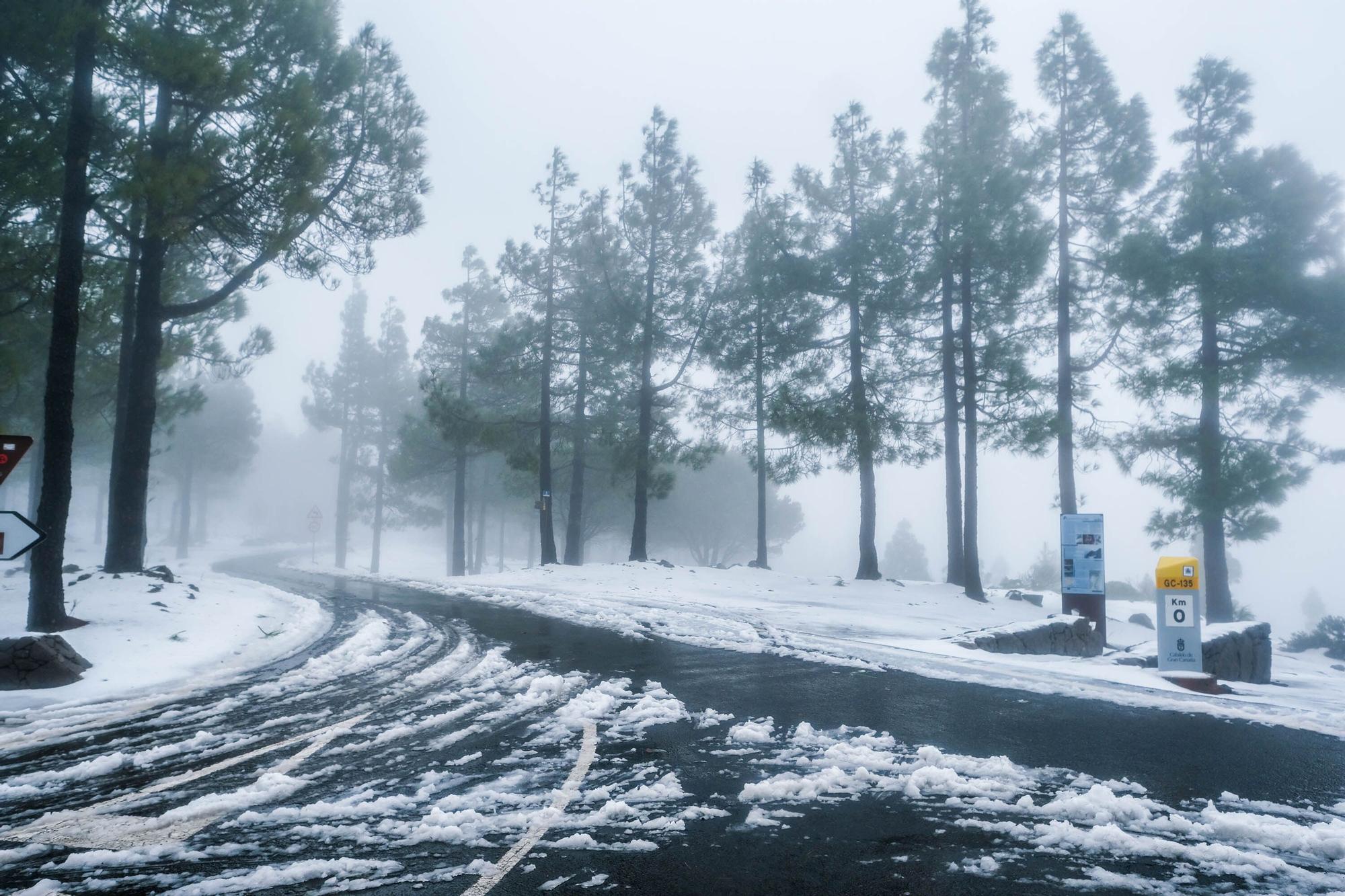 Nieve en la cumbre de Gran Canaria (15/03/2022)