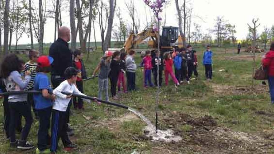 Escolares del colegio de Morales plantan árboles en los alrededores de la ermita del Cristo