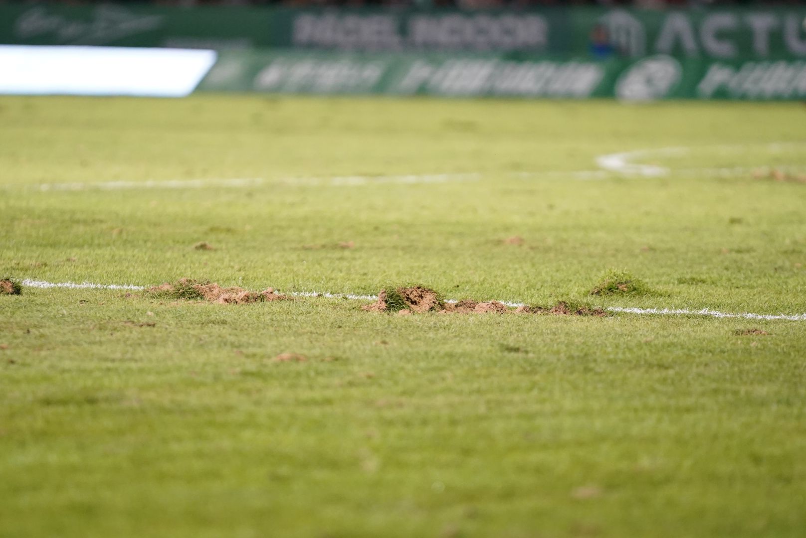 Las imágenes del Cacereño-Tenerife