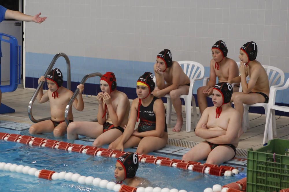 San Pedro 2016: Torneo alevín de waterpolo