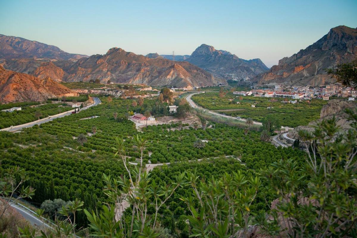 Vista del paisaje frondoso del Valle de Ricote, en la Región de Murcia.