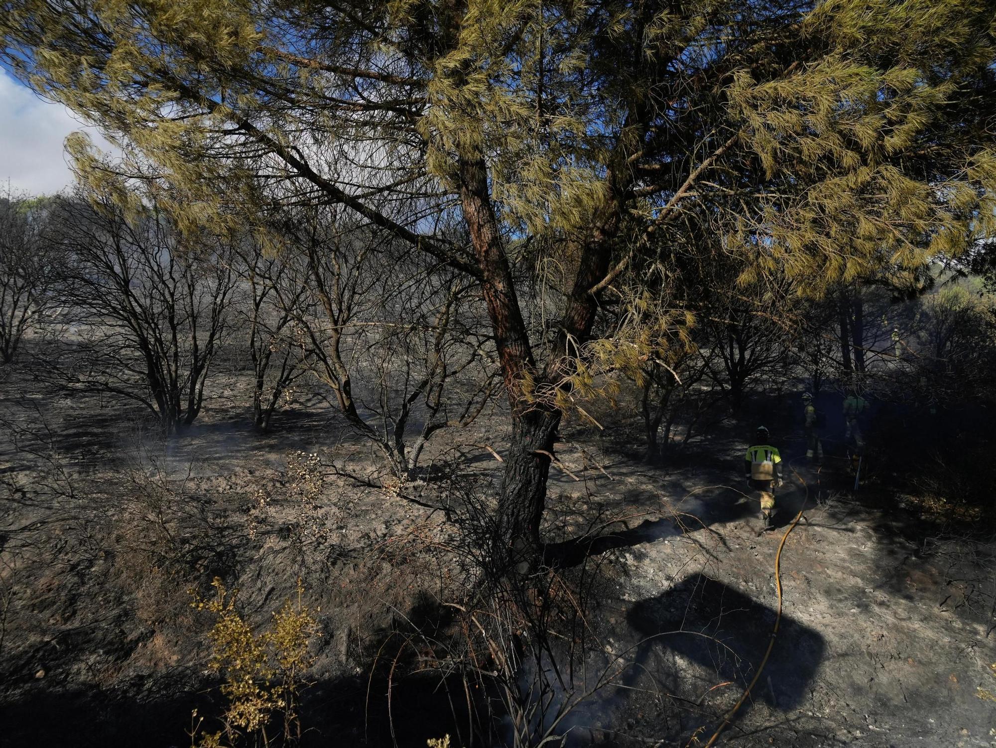 Incendio en el entorno de la Fuente de la Salud de Zamora