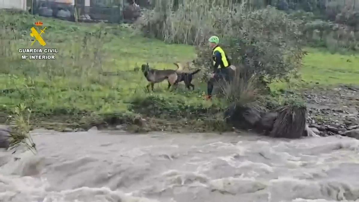 Búsqueda de la mujer desaparecida en Sayalonga