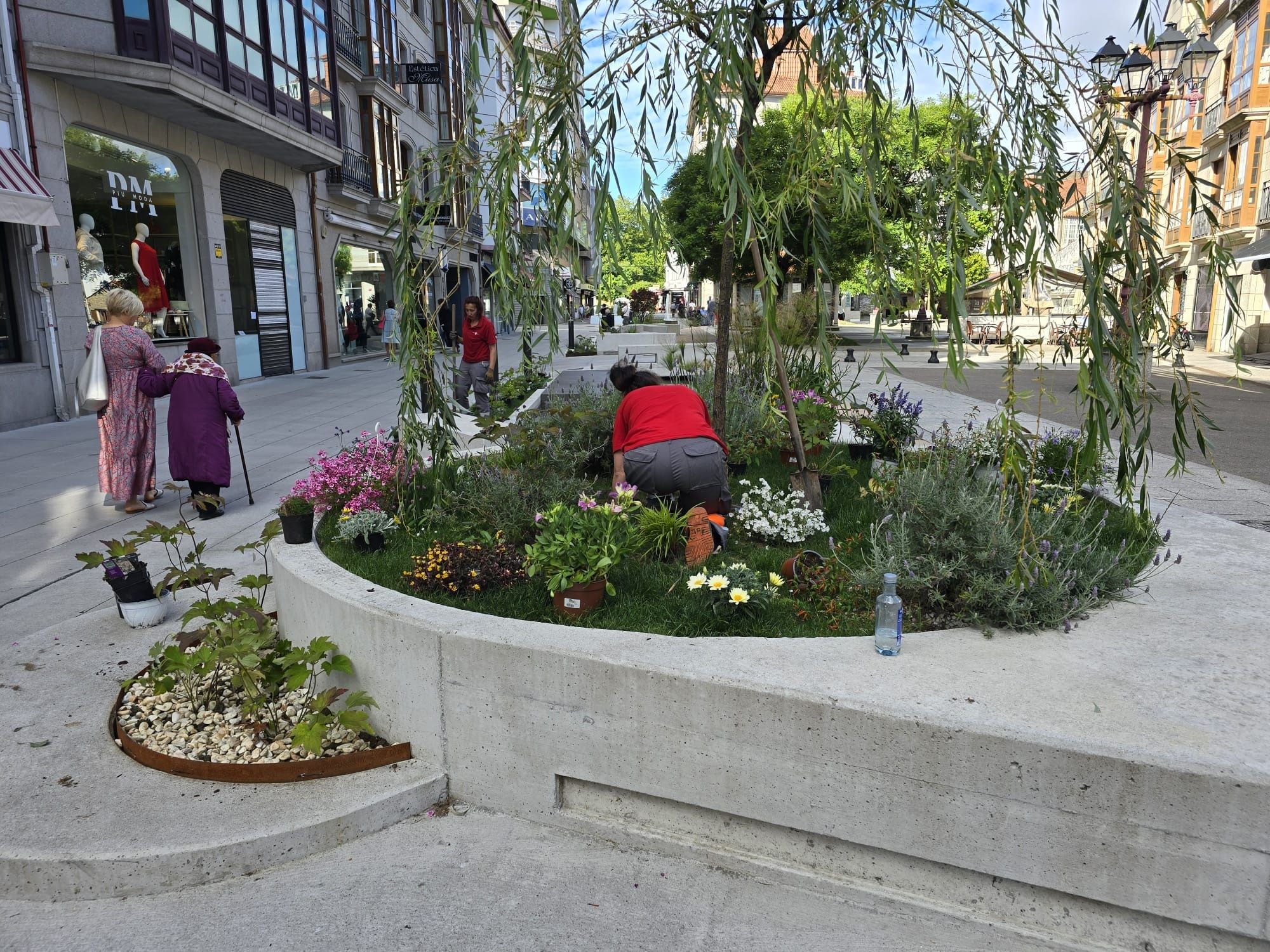 Los operarios municipales se encargan esta mañana de recuperar los deteriorados jardines de la peatonalizada calle de Arzobispo Lago, en Vilagarcía.