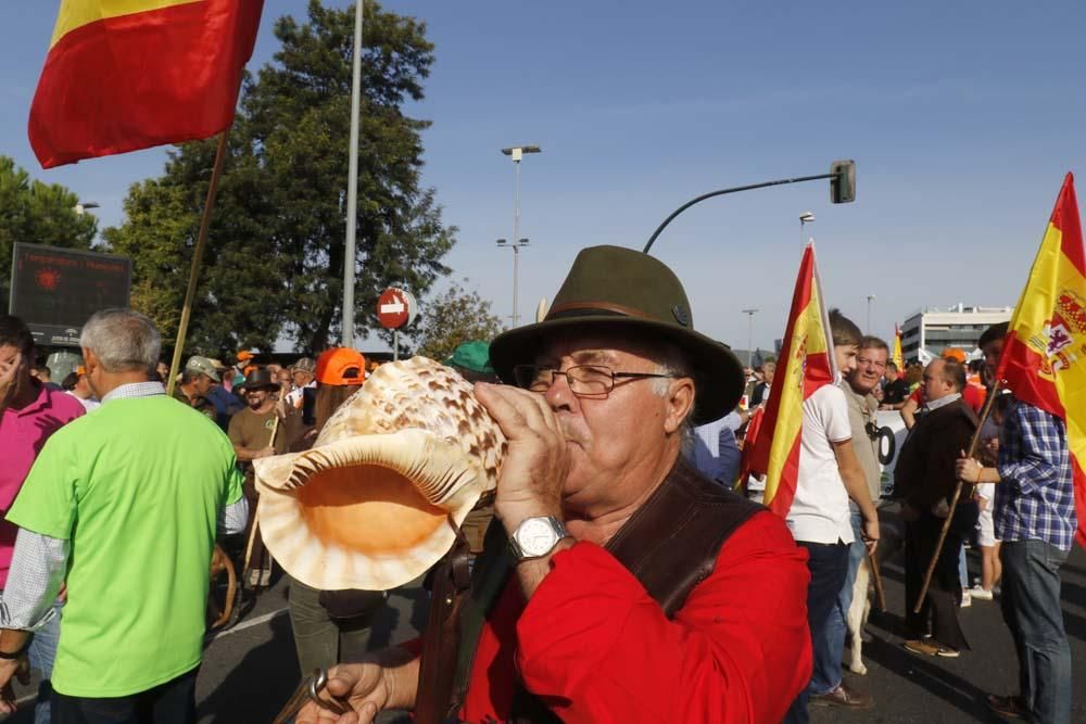 Multitudinaria manifestación en defensa del mundo rural.