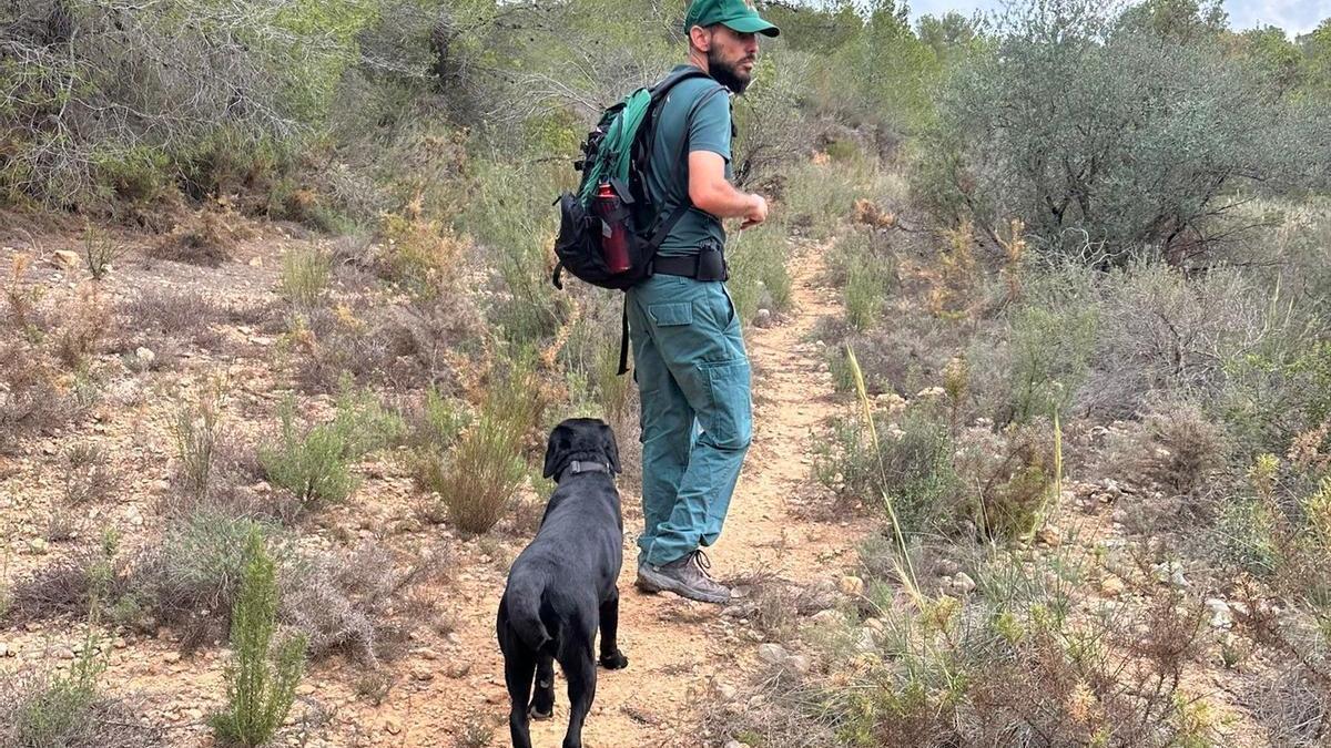 Uno de los participantes en una de las bastidas realizadas para buscar a Paquita en una imagen de archivo.