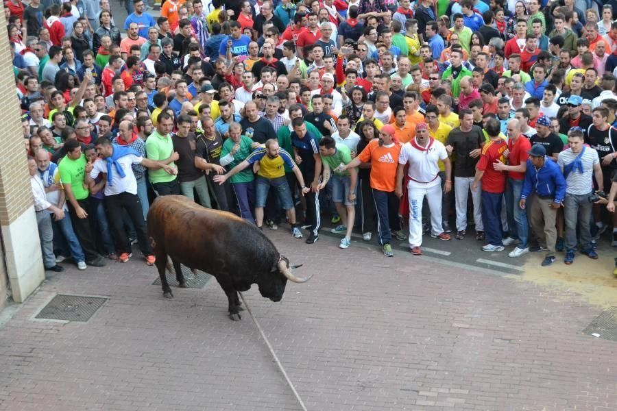 Enmaromado 2016: Así fue el Día Grande en Benavent