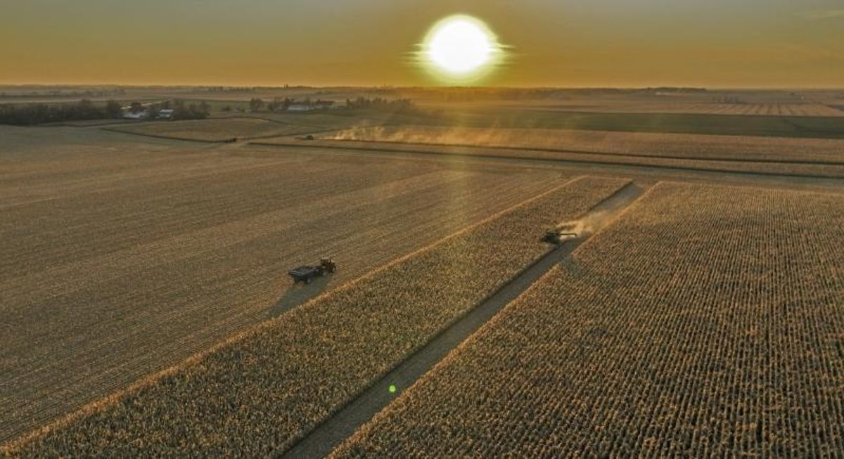 Vista aérea de una cosechadora en un campo de maíz en EEUU.