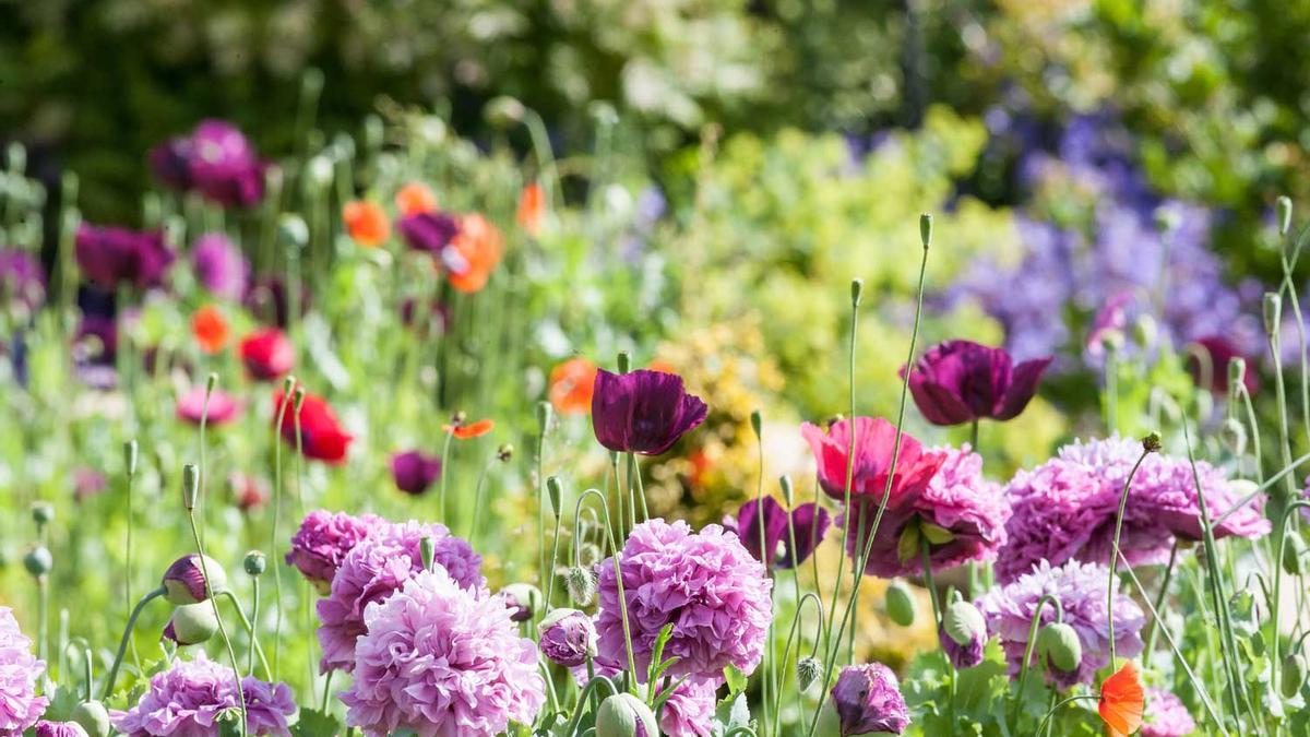 Los seis jardines más románticos de la campiña inglesa