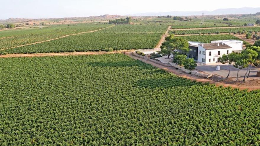 Vino y turismo, maridaje perfecto