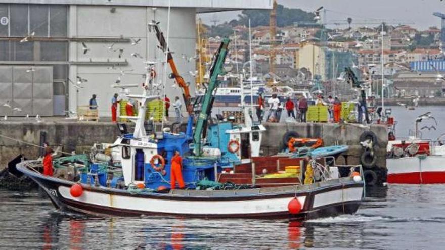 Flota de bajura entrando en el puerto pesquero de Vigo. // Marta G. Brea