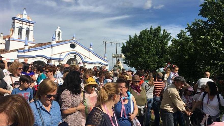 trasladan a la patrona de coria hasta La catedral