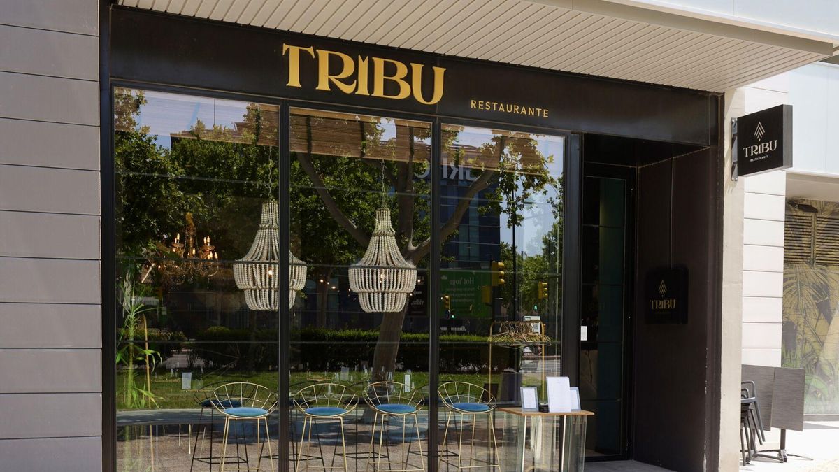 En imágenes | Tribu, el restaurante más selvático de Zaragoza