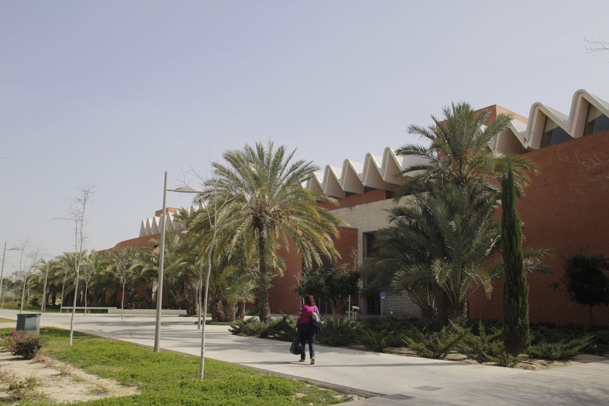 El campus de la UMH en imagen de archivo