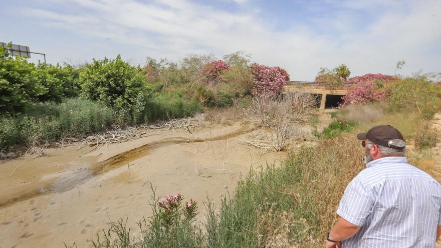 El agua de drenajes agrícolas con fertilizantes del Campo de Salinas desborda las fincas y llega a la laguna de Torrevieja