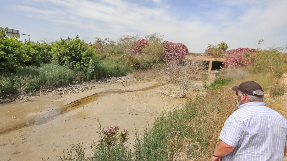 El agua de drenajes de los cultivos del campo de salinas llega hasta la laguna de Torrevieja