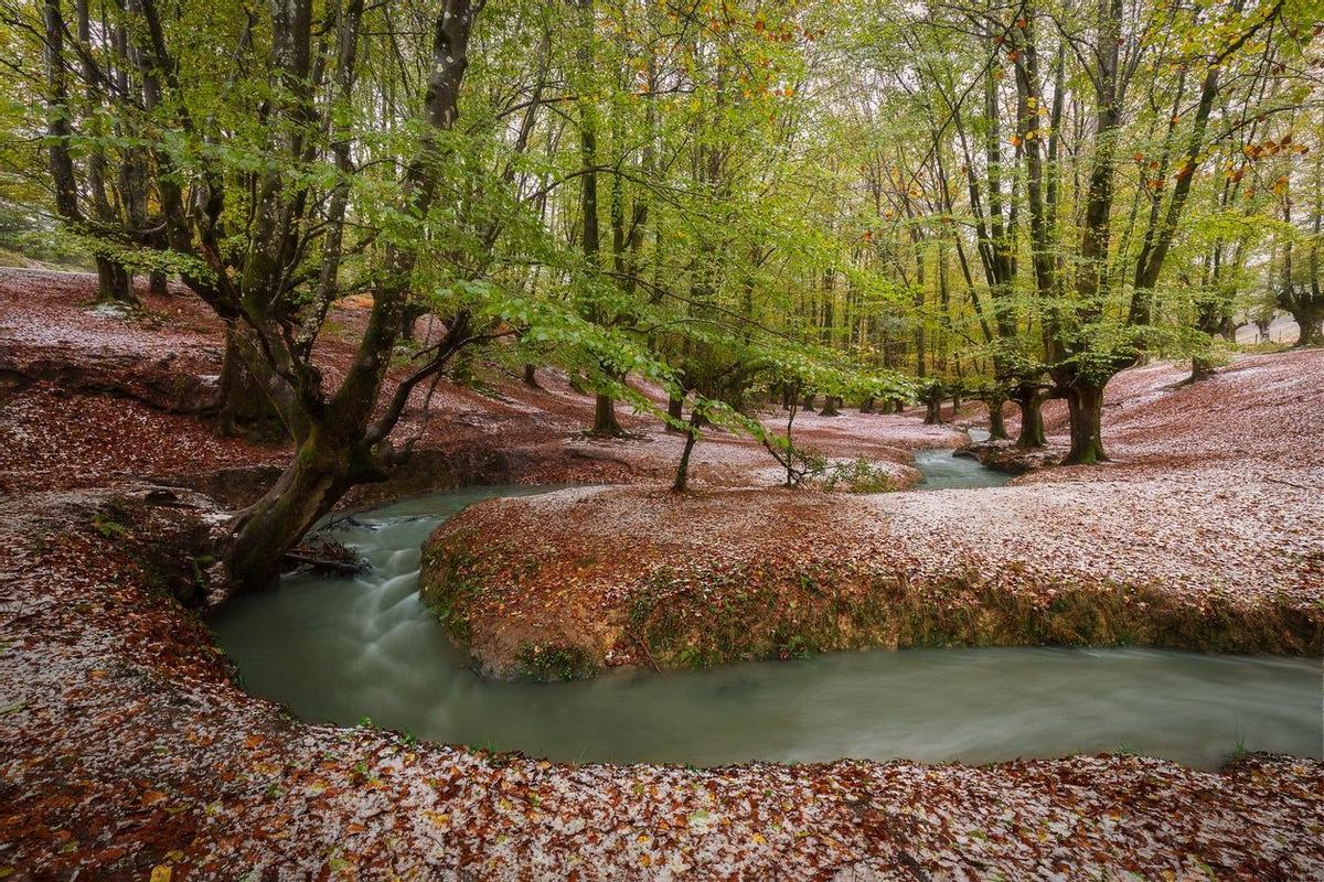 Parque Natural de Gorbeia, País Vasco