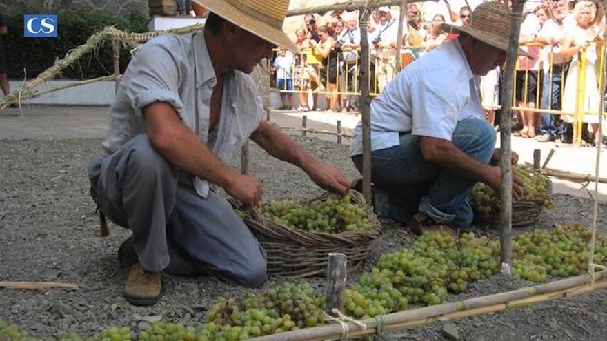 Día de la pasa en El Borge.