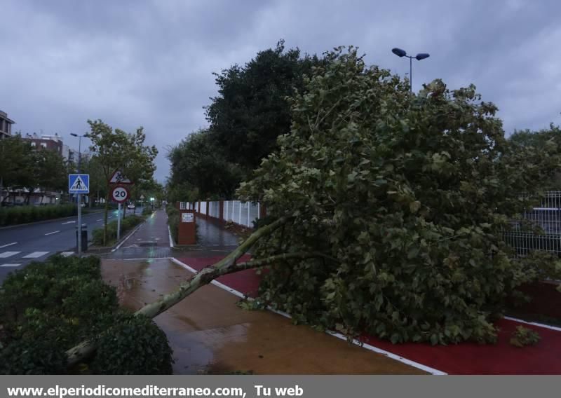 Las imágenes más impactantes de la gota fría en la provincia de Castellón