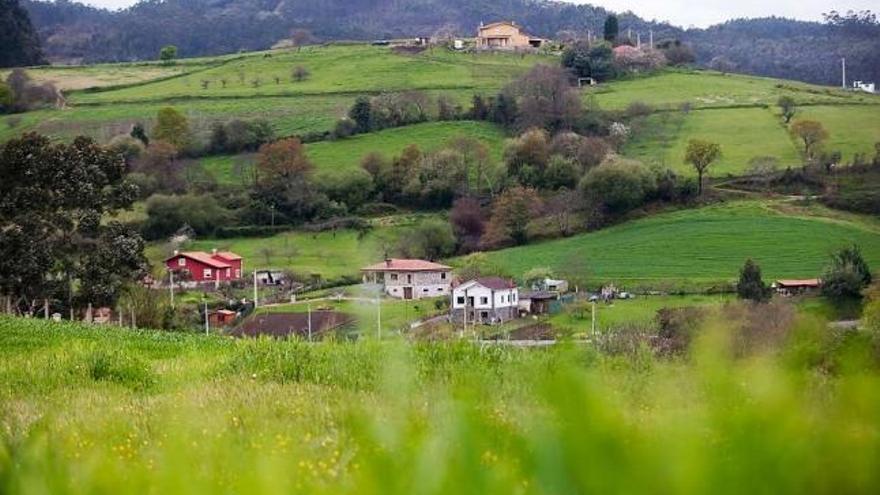 Terrenos rurales susceptibles de aprovechamiento para edificación unifamiliar en la zona de La Cangueta.