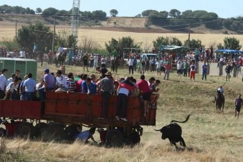 Encierro en Guarrate