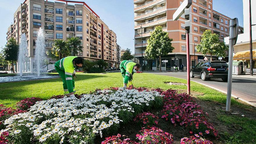 Gandia se viste de primavera a las puertas de marzo | ÀLEX OLTRA