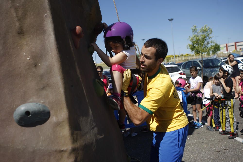 Actividades San Pedro