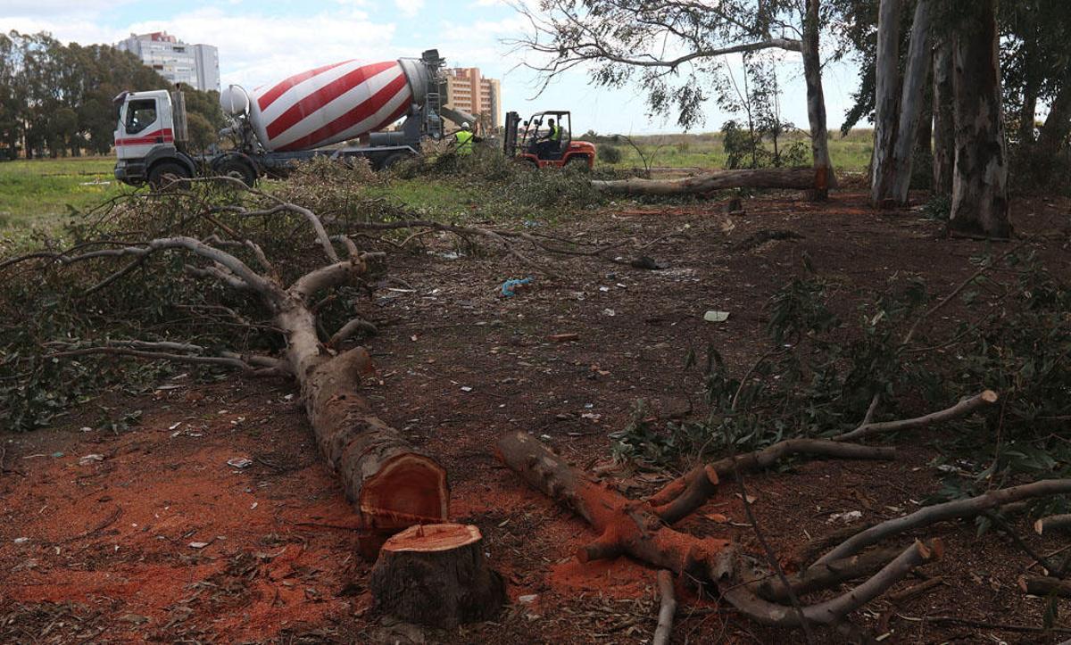 Las obras en Arraijanal comenzaban con la polémica tala de árboles denunciada por asociaciones y oposición.