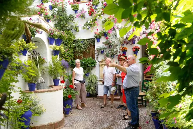 Los Patios de San Lorenzo y San Rafael