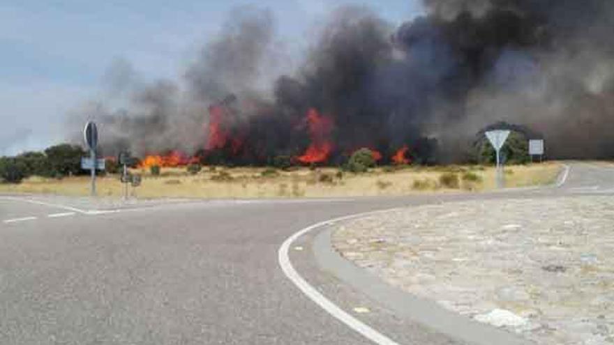 Las llamas junto a la carretera de Ledesma.