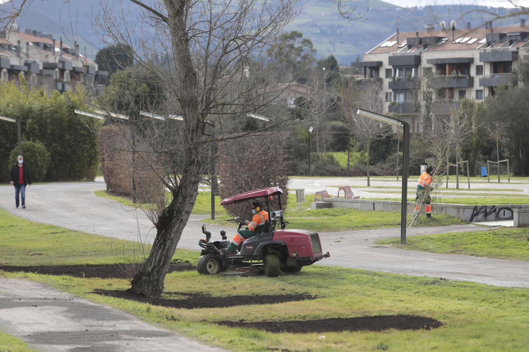 Jabalí abatido en la senda fluvial de Viesques