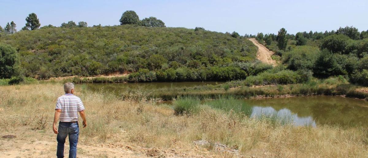 El Govern sanciona un poble de Zamora per construir una bassa d’aigua utilitzada en l’extinció d’incendis El Govern sanciona un poble de Zamora per construir una bassa d’aigua utilitzada en l’extinció d’incendis