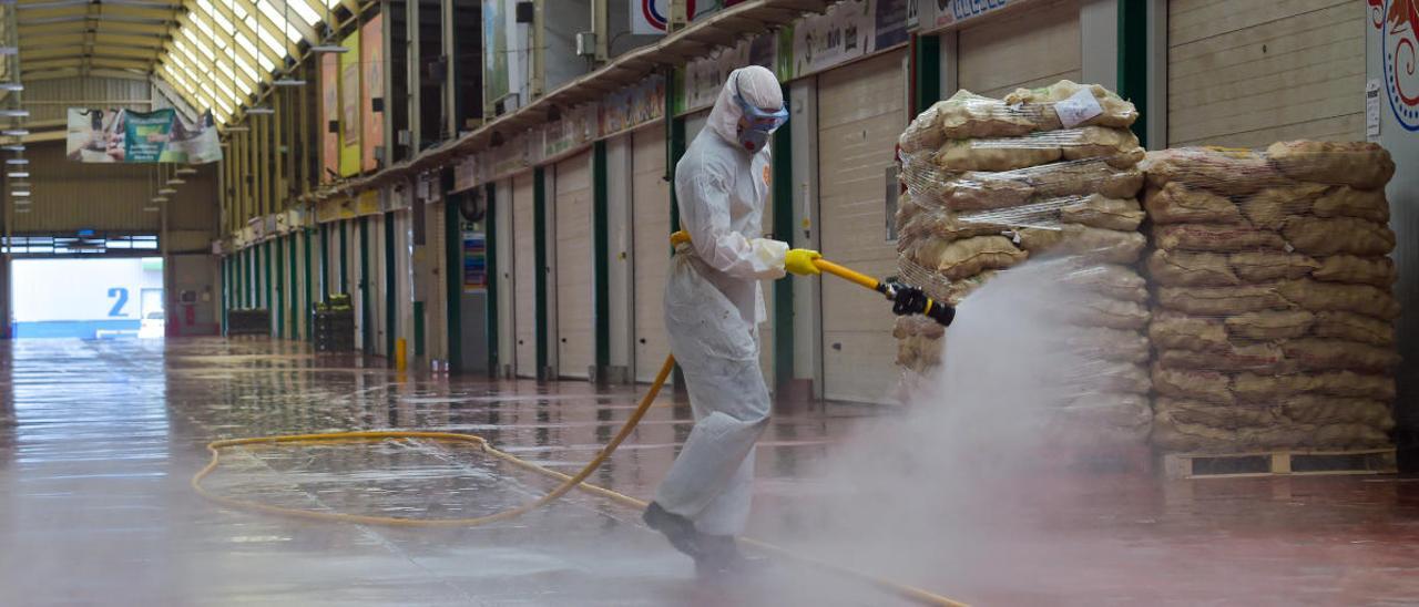 Dispositivo de desinfección de la UME el pasado abril en el interior de Mercalaspalmas.