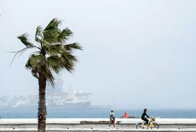 Niebla londinense sobre Las Palmas de Gran Canaria (15/03/18)