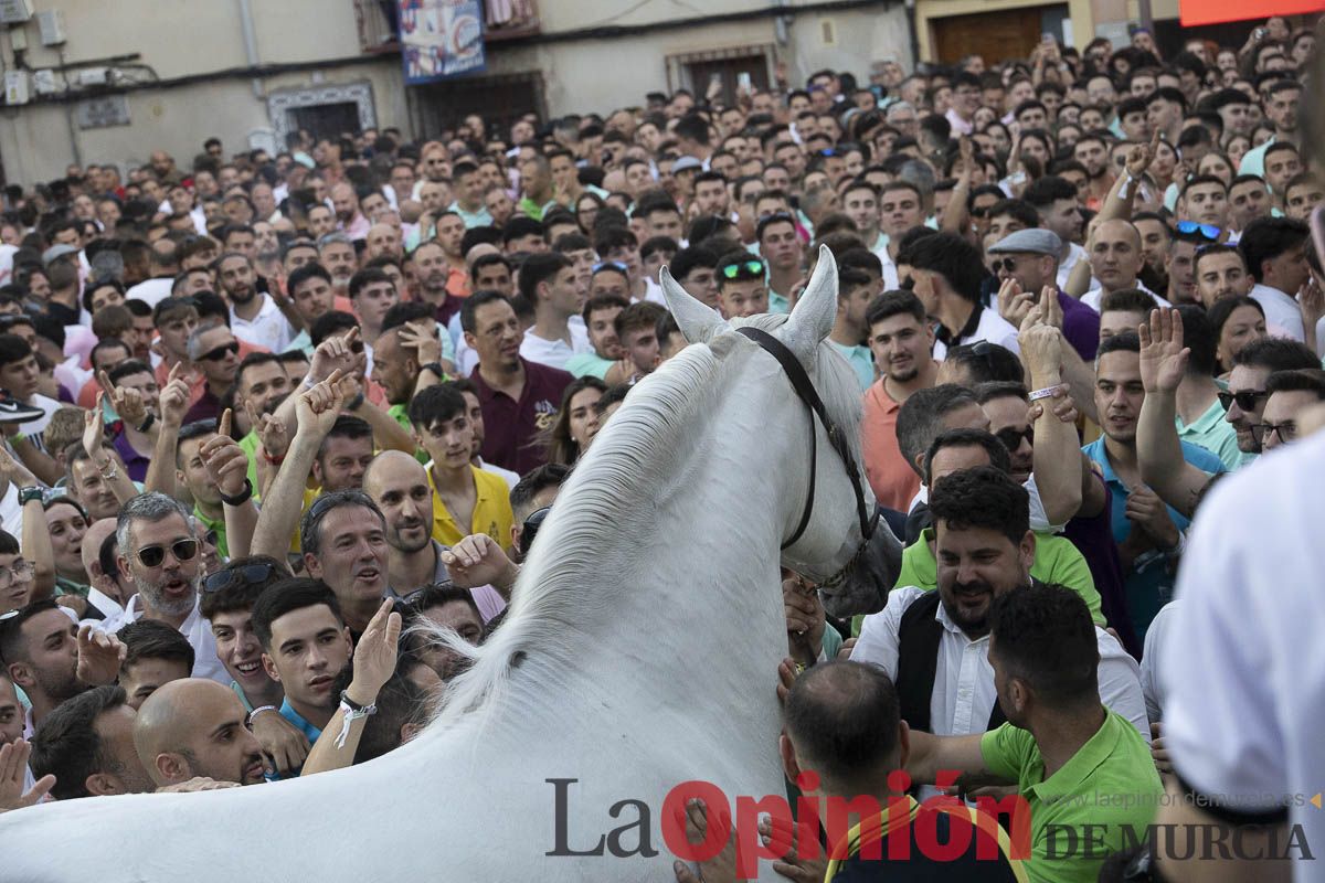 Fiestas de Caravaca | Entrega de premios del concurso morfológico