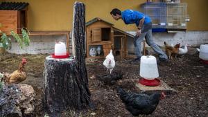 zentauroepp45923972 valencia 16 11 2018 sociedad  la  casa you can   you can ina181119191311