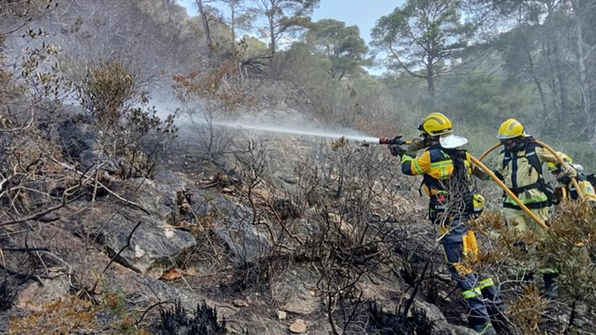 Brigadistas de la Conselleria de Agricultura, durante el incendio en Costa de los Pinos.