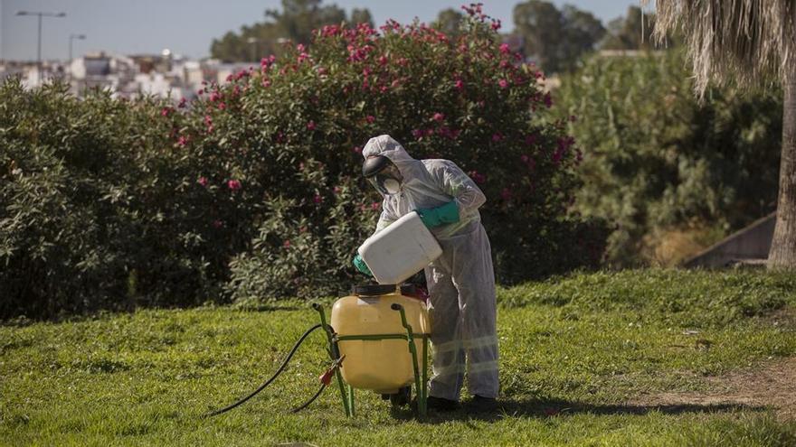 Una mujer de 52 años, primer caso de virus del Nilo en humano en Extremadura