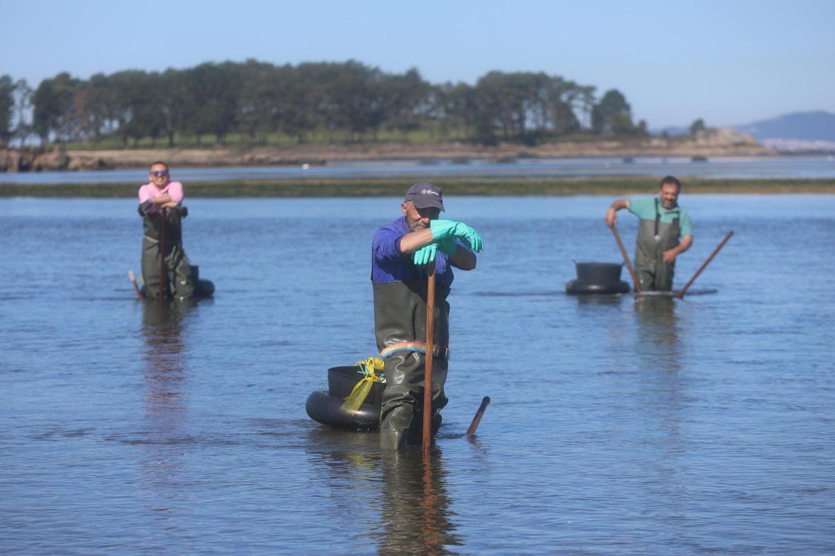 Los mariscadores de a pie de la cofradía San Martiño seguirán esperando, al menos, hasta el 3 de diciembre.