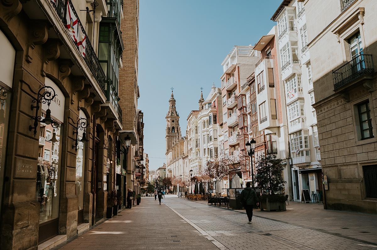 Calle Portales con la Concatedral de Santa María de la Redonda al fondo