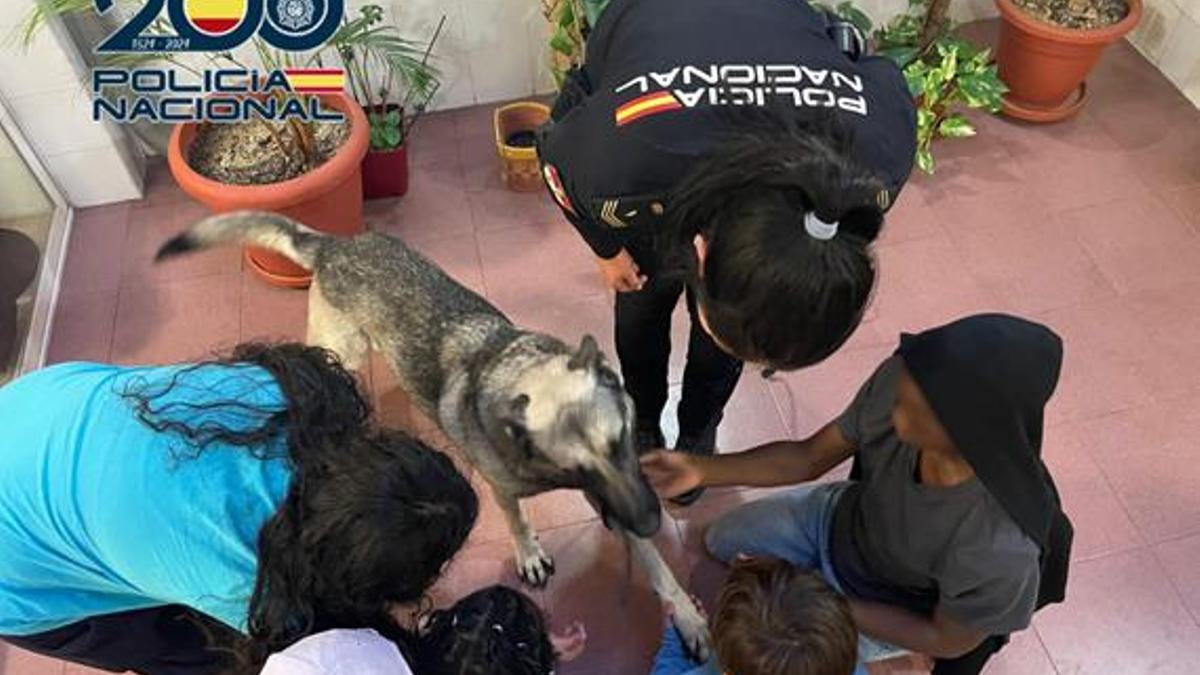Agentes de la Unidad de Guías Caninos ofrecieron una exhibición educativa para los niños del centro de día Luisa de Marillac.