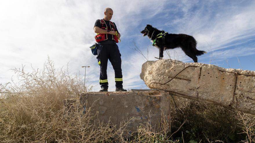 Así trabaja Senda, la perra de los Bomberos de Alicante que encontró a la señora perdida de 86 años con alzhéimer