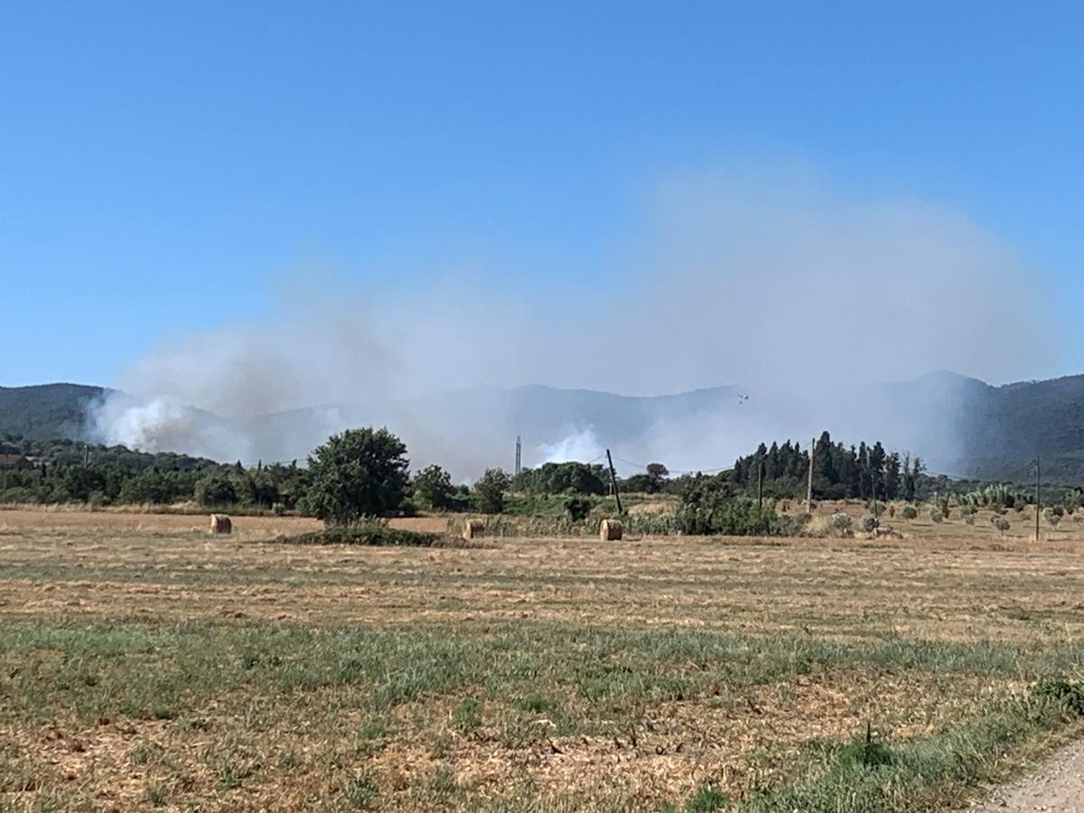 Un incendi de vegetació talla la GI-660 a la Bisbal d’Empordà Un incendi de vegetació talla la GI-660 a la Bisbal d’Empordà