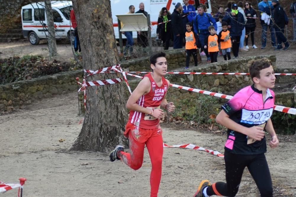 Cross Fuentes del Marqués (IV)