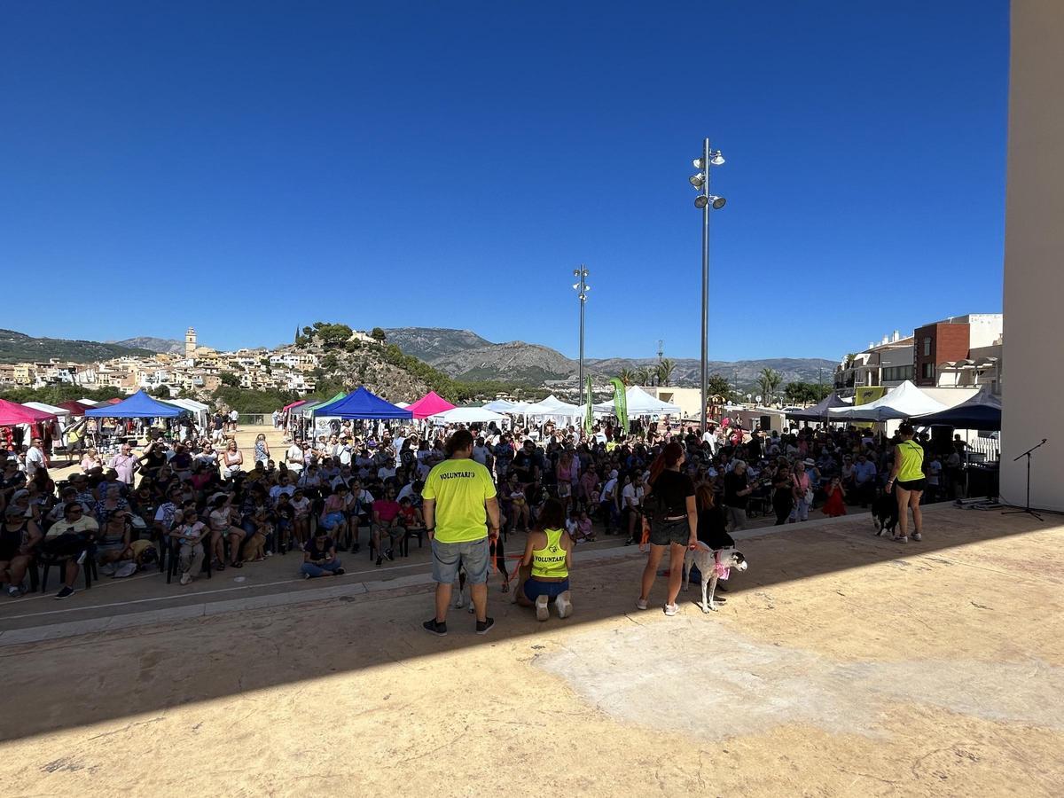 Más de 2.000 personas llenaron el Auditori de Les Nits de La Nucia