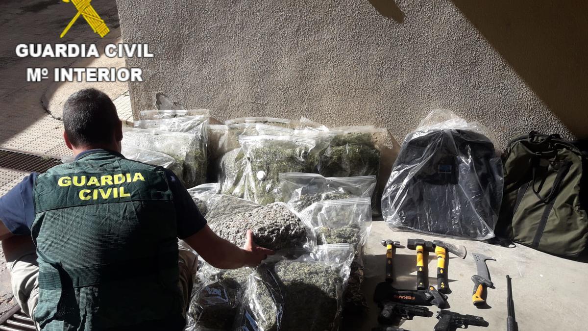 Imagen de la marihuana incautada por la Guardia Civil en Agullent.