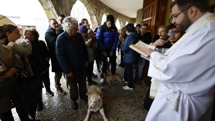 Campolongo acoge la bendición de animales por San Antón