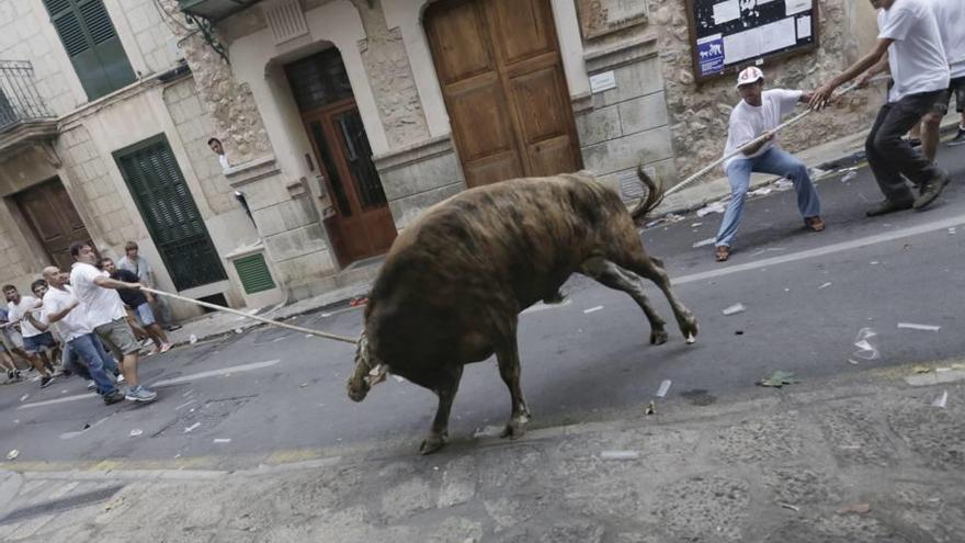 Una imagen del &#039;correbou&#039; de Fornalutx, que volverá a celebrarse el próximo 2 de septiembre.